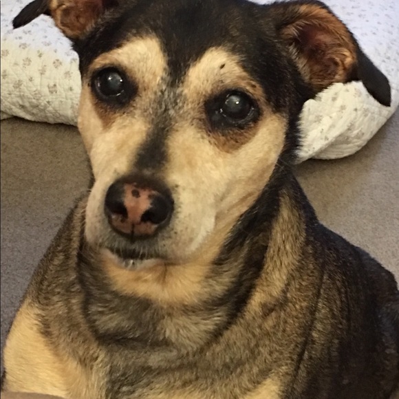 Meet your Posher, Lori - Picture 1 of 1